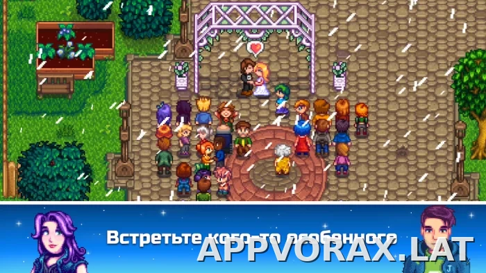 Stardew Valley скриншот 5